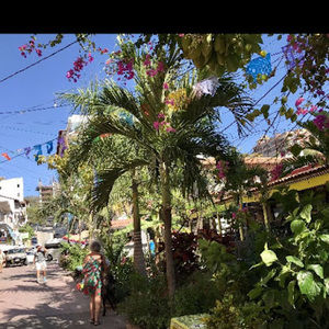 Meet your Posher, Faith